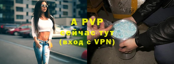 спиды Белокуриха